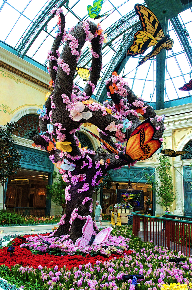 15Las Vegas Bellagio 2011